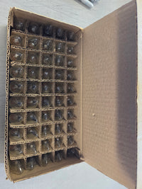 50 Pack Replacement Night Light Bulbs