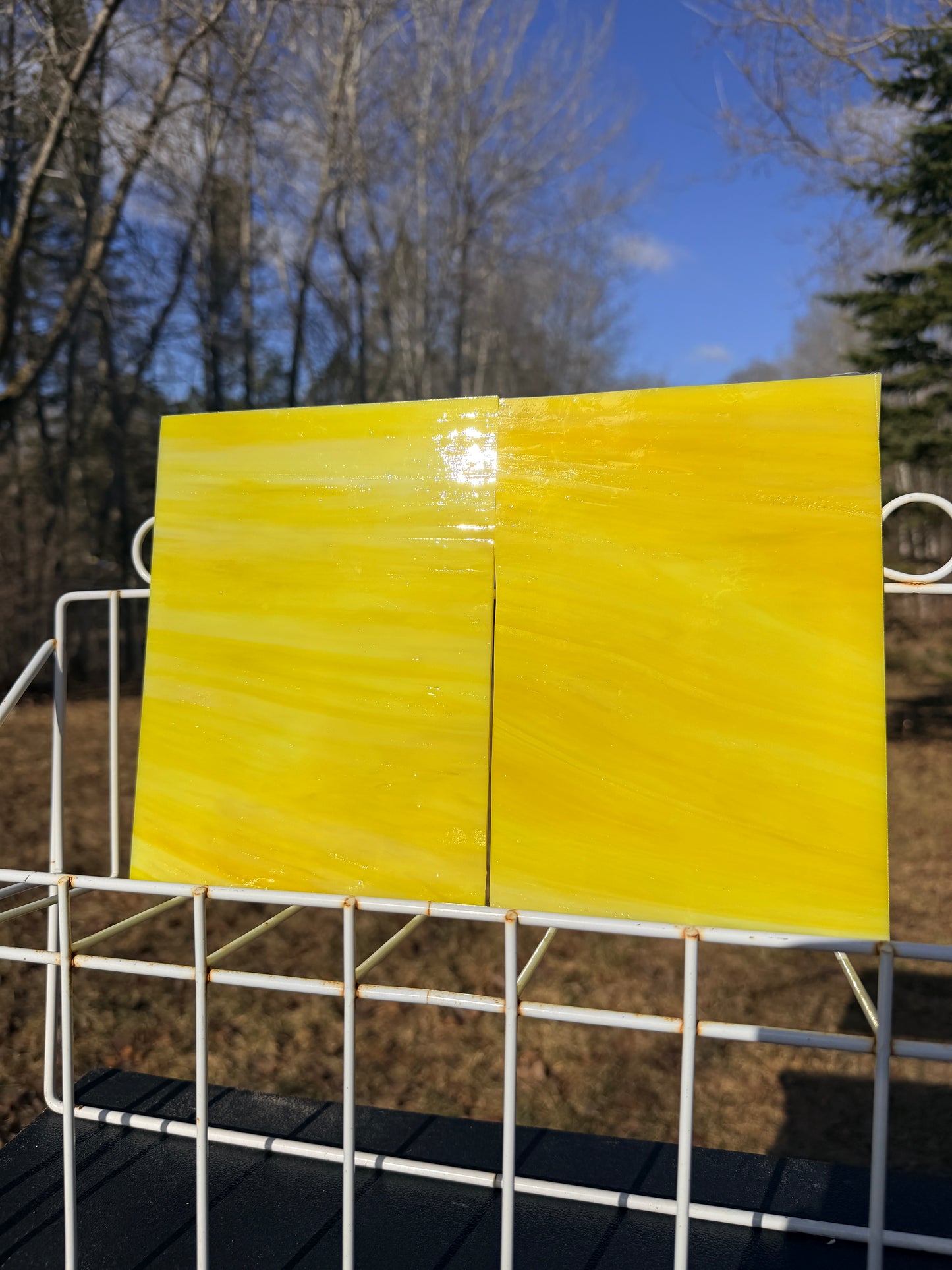 Yellow White Opal Wissmach Stained Glass 2 Sheets | 2 Size Options