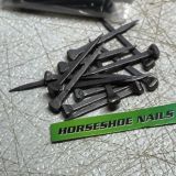 Horseshoe Nails - Farriers Hold Lead Project Together -25, 50, or 100 Packs